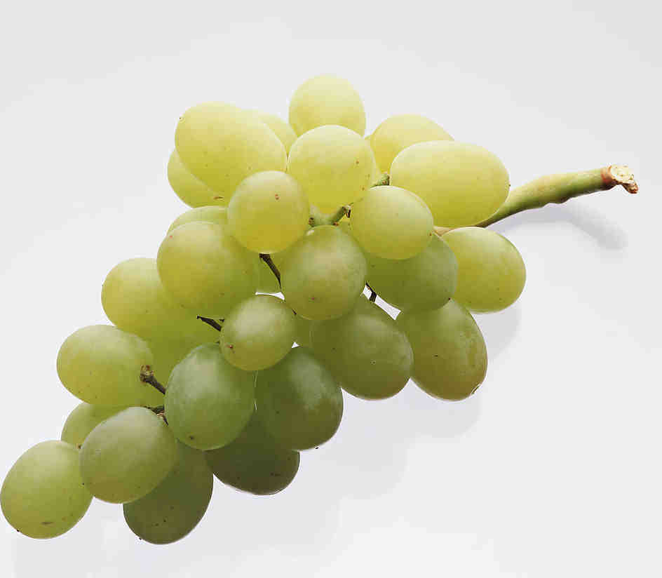 Ƥ